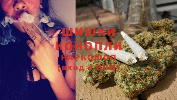 PSILOCYBIN Каменск-Шахтинский