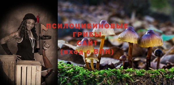 дистиллят марихуана Каменногорск