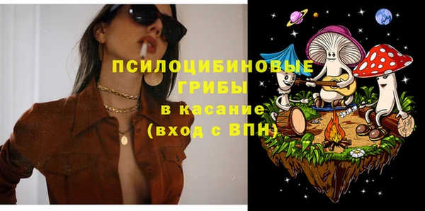 крисы Инта