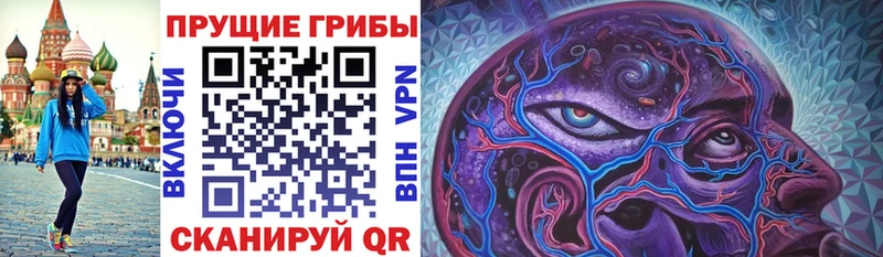 Купить закладки  Пугачёв  Галлюциногенные грибы Magic Shrooms 